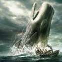white whale.jpg