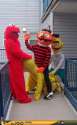 71127 - Bert Big_Bird Elmo Ernie Muppets Sesame_Street.jpg