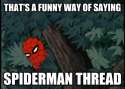 Funny way of saying spiderman thread.jpg