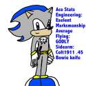 ace__s_abilities_and_a_picture_by_scott_the_hedgehog.jpg