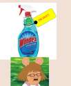 windex on sale.png