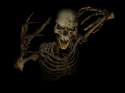 Scary-Skeletons-Pictures-2.jpg