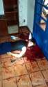 mother-beheading-machete-16-year-old-druggie-son-brazil-01-840x1495.jpg