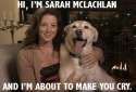if-sarah-mclachlan-can-t-watch-her-own-devastating-animal-cruelty-ads-what-hope-do-the-re-769381.jpg
