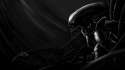 904685 - Alien Xenomorph.jpg