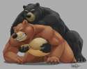 bears larger.jpg