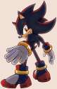 Shadow_the_Hedgehog_Archie_profile.png