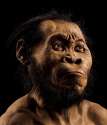 A Homo Naledi.jpg