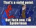 valid point spidey.jpg