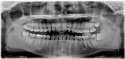 my dental image.jpg