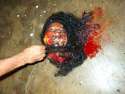 LTTE_Suicide_bomber_head_of_Thiagaraja_Jayarani_20040707.jpg