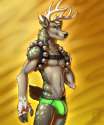 1416434088.vallhund_undie-fellout-lime02.png