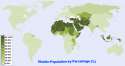 World_Muslim_Population_Map.png