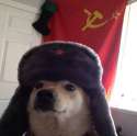 woof_woof_comrade.jpg