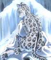 Anthro Leopard Reference.jpg