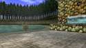 Fishing_Pond_(Ocarina_of_Time).png