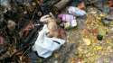 dead-baby-found-floating-filthy-lake-thailand-04.jpg