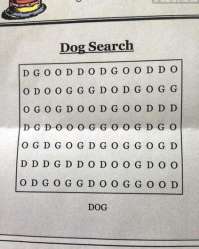dog search.jpg