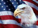 American_-Flag-eagle.jpg