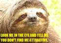 Suave Sloth.jpg