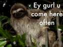 seductive_sloth.jpg