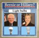bulbs.jpg
