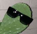 Cool Cact the cactus.jpg