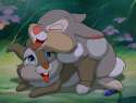 1217027_Bambi_TheGiantHamster_Thumper_Thumper_mother.png