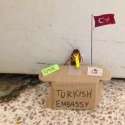 turkish embassy.jpg