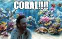 Coral-ani-gif.gif