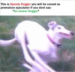 dogger.png