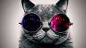 cat_face_glasses_thick_65455_1920x1080.jpg
