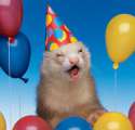 birthday weasel.jpg