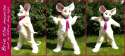 kittrel-brie-the-mouse-fursuit-and-write-up.jpg