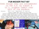 27 - Nigger Murder Rates_jpg.jpg