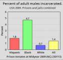 USA_2009._Percent_of_adult_males_incarcerated_by_race_and_ethnicity.png