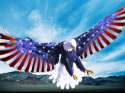 Eagle-USA.jpg