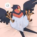Swellow3.png