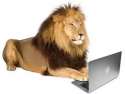 lion laptop.png