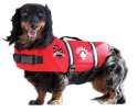 Life-jacket-for-dogs.jpg