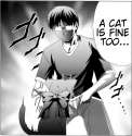a cat is fine too.png