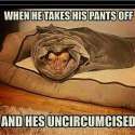 uncircumcised-01.jpg