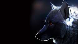 wolf-artwork-1600x900.jpg