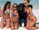 monkey-with-three-hot-girls-in-bikinis-on-beach-copping-feel.jpg