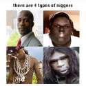 4 types of niggers.jpg