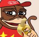 Unfortunately_the_pepe_you_requested_is_far_too_rare.png