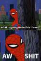 2932947-what-is-going-on-in-this-thread-spiderman-edrkKb-1.jpg