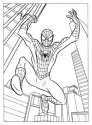spiderman coloring page.jpg