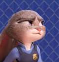 disapprovingjudy.png