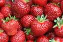red_strawberries.jpg
